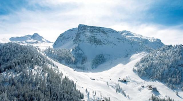 Landhaus Alpenjaeger ハインツェンベルク エクステリア 写真